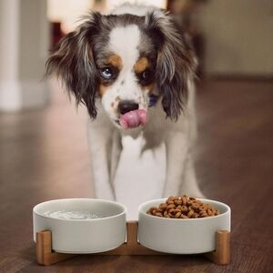 Ceramic Dog Bowl Set with Stand - White